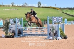 BPP_2313