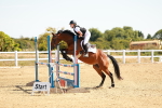 SBM_002853