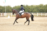 SBM_001397