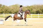 SBM_007999