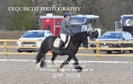 13TH APRIL 2025 - BRITISH DRESSAGE - MUIRMILL EC portfolio