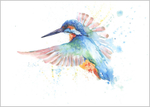 Kingfisher flying limited edition print 24500
