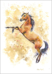 Rearing Horse