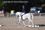 BPP_8379