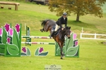 6YO Final Jump off portfolio