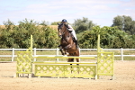 SBM_007986