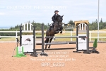 BPP_6253