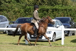 Class 40: NPS Welsh A & B portfolio