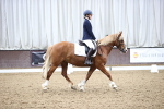SBM_1351
