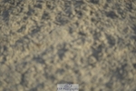 230909-174328-07310