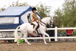 SBM_04734