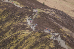 Coledale-12