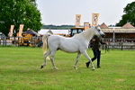 SBM_00036