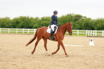 SBM_005655