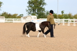 SBM_16618