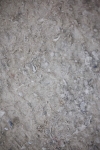 SBM_005485