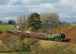T1060
