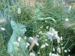 Butterfly World Project portfolio