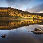 Lower Lake Light