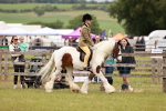 SBM_06197