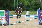 Class 6: Pendarves Equestrian Accumulator portfolio