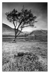 Kilchurn Castle
