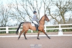 129-Looby.Marsden-J.Force portfolio