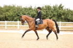 SBM_007214