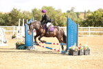 SBM_006162