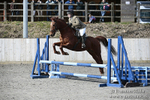 BVRC SJ 170319 217