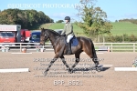 BPP_8521