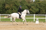 SBM_001560
