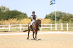 SBM_010614