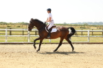 SBM_001490