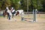 WJ6_1437
