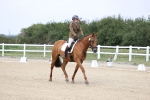 SBM_017394