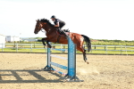 SBM_003343