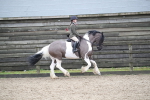 SBM_007982