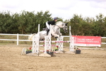 SBM_008488