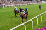 250726-Race 3-Item-0821