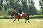 WJ6_6504