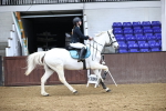 SBM_010073