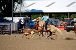 3HRodeo8-11-25_PRCASteer_07714_