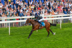 260823-Race 6-Inquisitively-0887