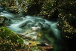 Ghostly Presence-RLP31010