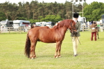 SBM_00490