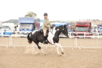 SBM_06731