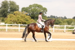 SBM_001293