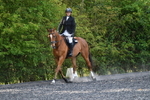 WJ5_9347