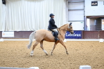 SBM_003716